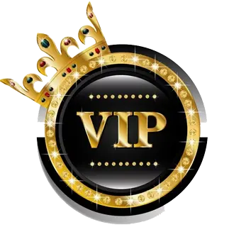 VIP紹介サービス